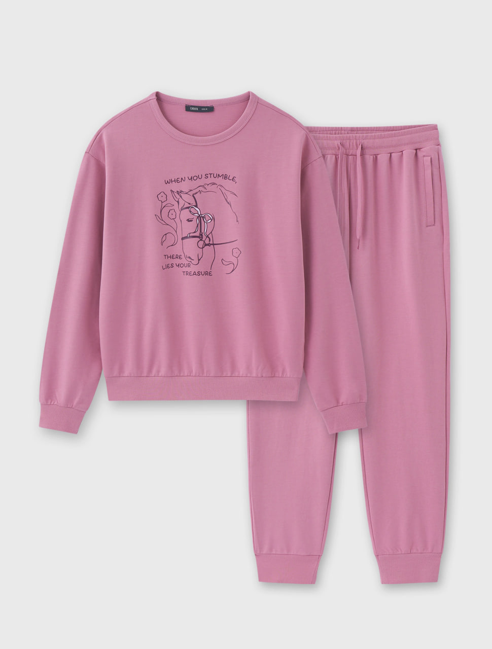 Bộ quần áo nỉ nữ cotton USA dáng suông có hình in